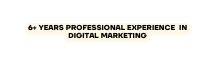 6 Years professional Experience in digital Marketing